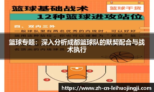 篮球专题：深入分析成都篮球队的默契配合与战术执行